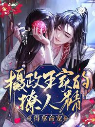 摄政王 宠