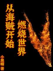 海贼王之雷霆暴熊