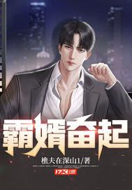 霸婿崛起全文免费