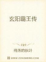 大汉霸王传