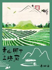 青山脚下平原宽广