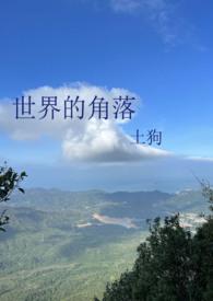 穿书几百年后我终于在世界的角落