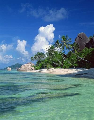 超级渔场主全文免费阅读