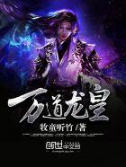 至尊龙帝陆鸣后传