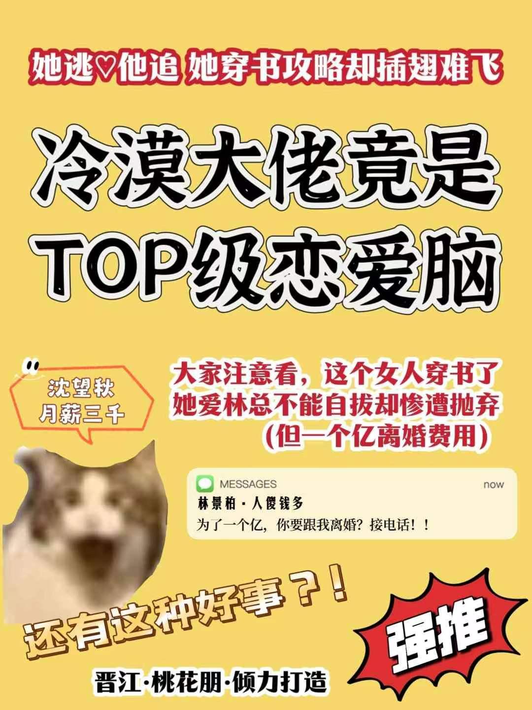 冷漠大佬宠夫