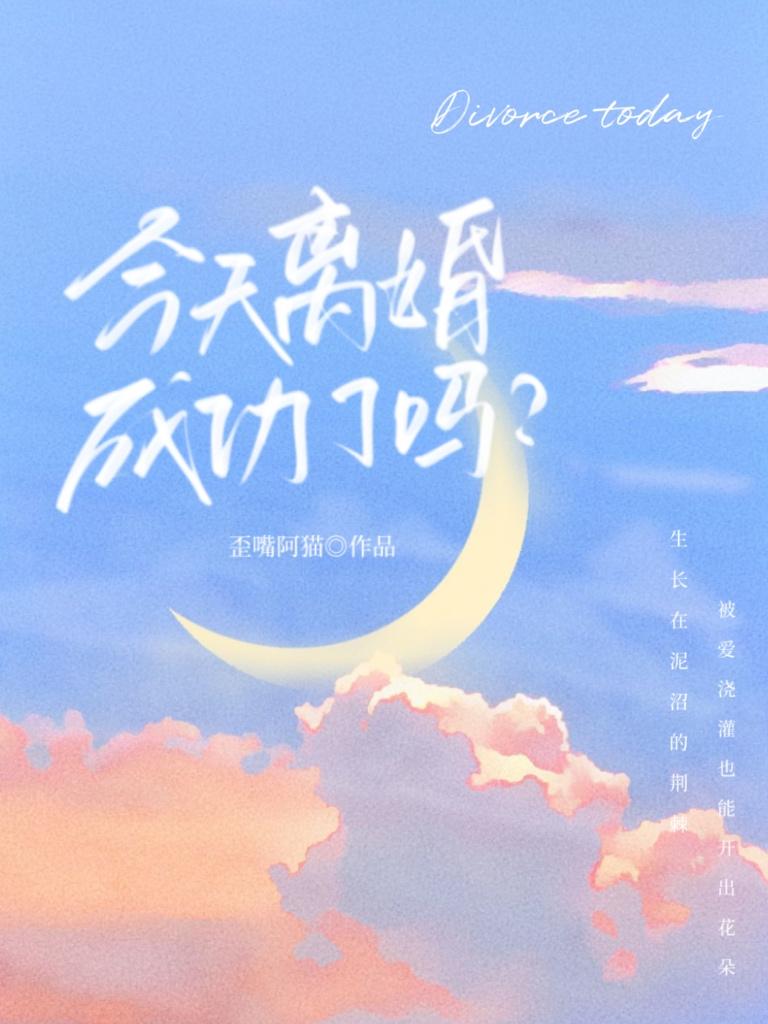 今天我离婚了么
