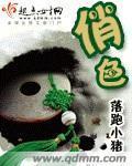 俏色玛瑙手镯介绍