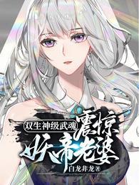 双生武魂的玄幻