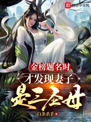 金榜题名时才发现妻子是三圣母大致内容