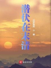 潜伏在大清TXT