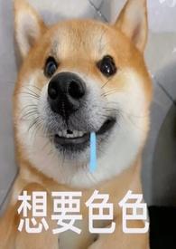 青梅竹马的她漫画