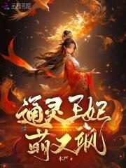 通灵王妃的原著
