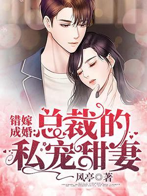 错嫁成婚之总裁的私宠甜妻免费