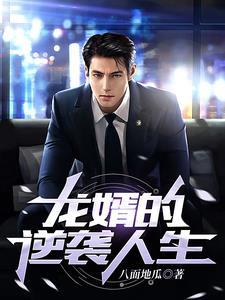 龙婿无弹窗