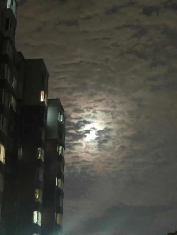 重生天灾前带着全家低调躺平苏云王杰 笔趣阁