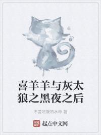 喜羊羊与灰太狼黑夜之后讲了什么!