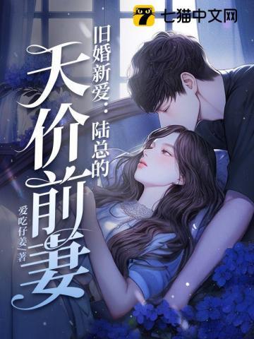 陆总暖婚新妻