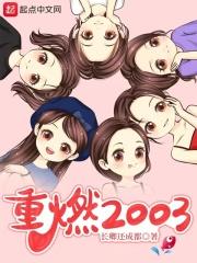 重燃2003扫书