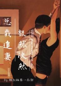 总裁追妻99次免费阅读全文盛安然