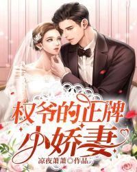 权爷宠婚免费阅读全文