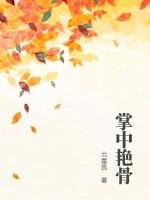 掌中月全文免费阅读无弹窗