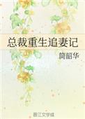 总裁重生追妻记废