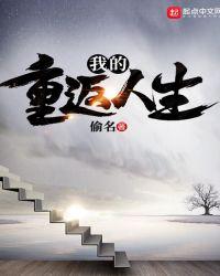 我的重返人生TXT偷名