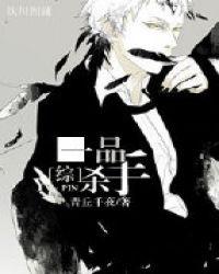 一品刺客txt盘