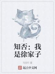 知否我是徐家子笔趣阁免费阅读