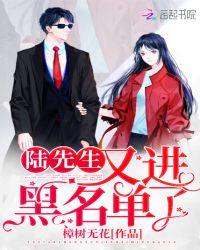 陆先生你进黑名单全文免费阅读