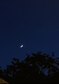 她们的今天