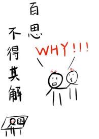 百思不得其解下一句的意思