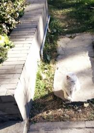 媚欢(上位) 无三观笔趣