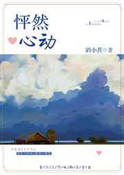 怦然心动怪盗番外