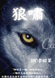 狼啸火箭烟花图片