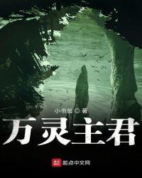 万灵主君精校版TXT