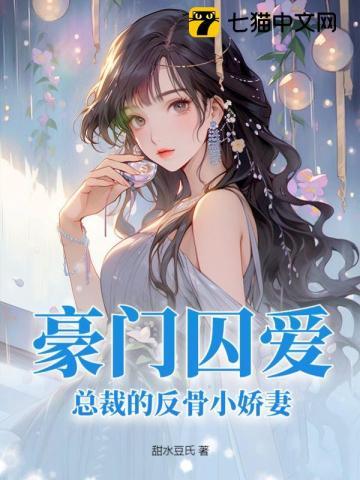 总裁的vip情人