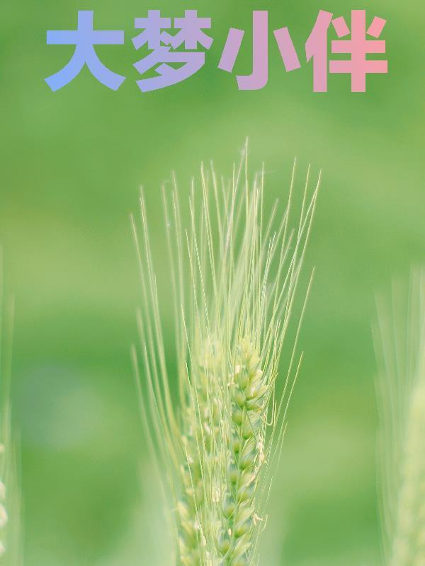 大梦小家的舞蹈
