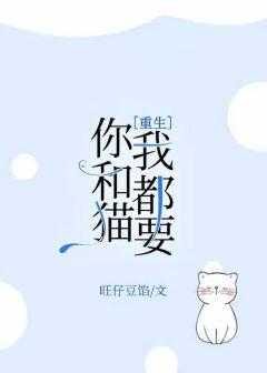 你和我和猫沈以诚歌词