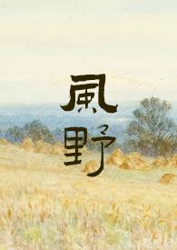 风野火一解打一生肖
