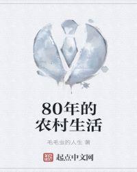 80年代的农村生活故事