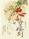 毒女嫁到古言玉