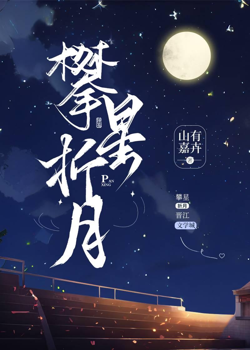 攀星折月赵清岩