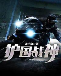 护国战神短剧