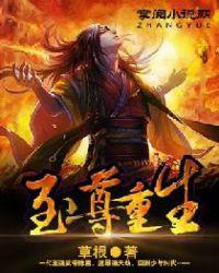 至尊重生txt