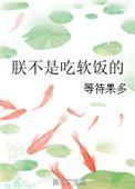 我不是吃软饭的下一句