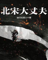 北宋大丈夫TXT全本免费阅读
