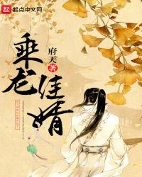 乘龙嘉婿还是乘龙佳婿