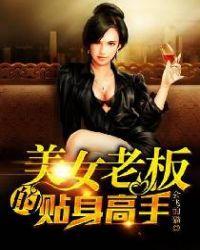 美女老板的贴身高手哪一部好看