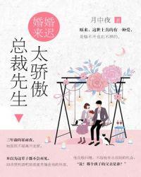 婚谋已久总裁先生矜持点无弹窗